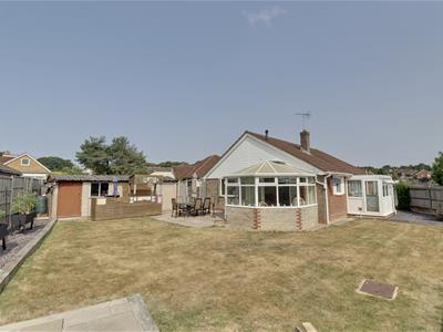 Picture 14